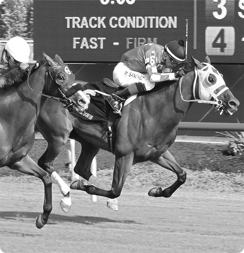 A jockey riding a racehorse at high speed, with another horse close behind, on a racetrack with a "Track Condition: Fast - Firm" sign in the background.